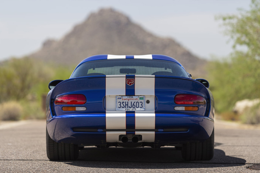 Viper detail 2